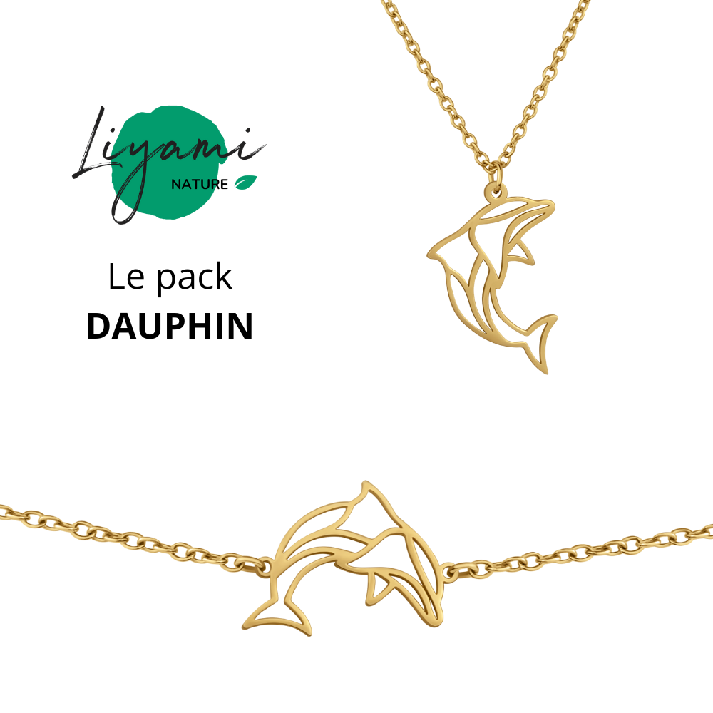 Parure bijoux animal totem : collier et bracelet dauphin en acier inoxydable doré style origami géométrique