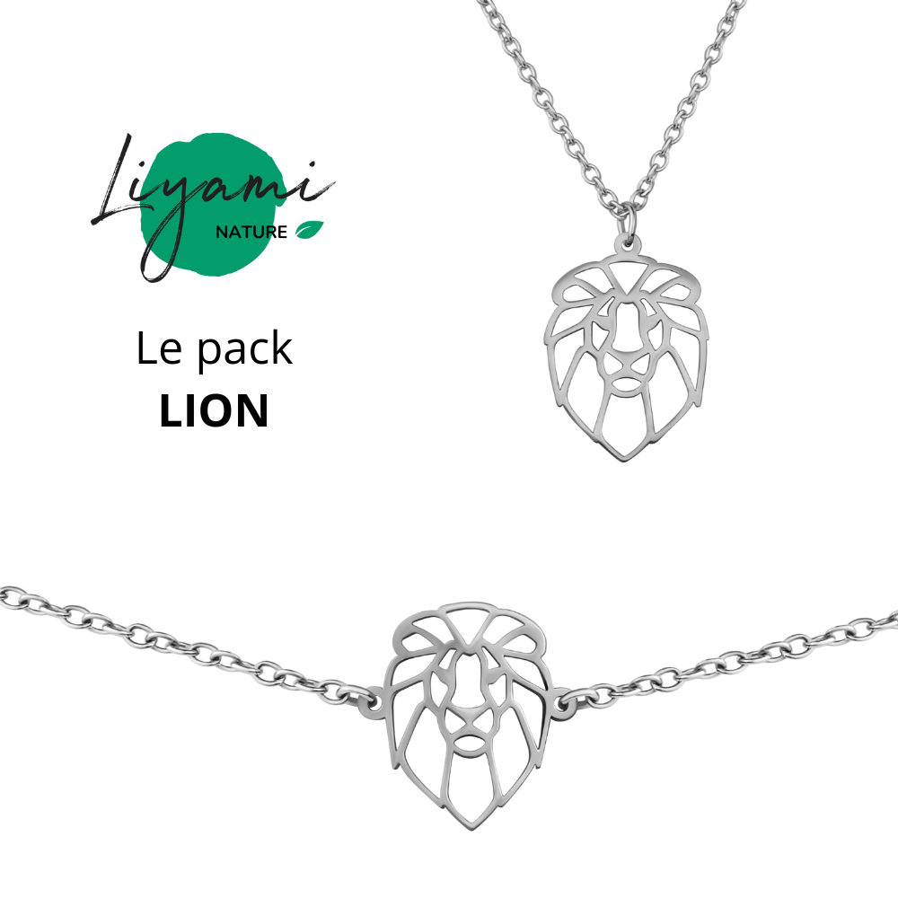 Parure bijoux animal totem : collier et bracelet lion en acier inoxydable argenté style origami géométrique