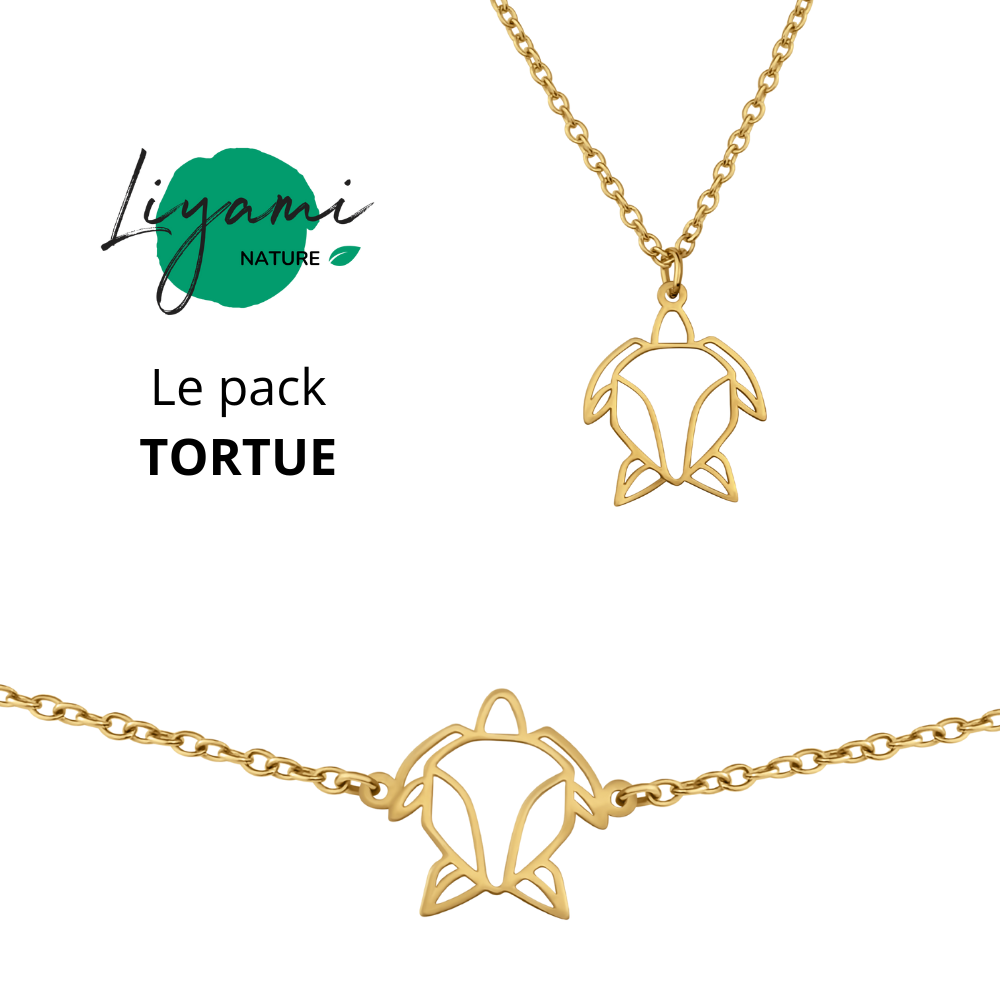 Parure bijoux animal totem : collier et bracelet tortue en acier inoxydable doré style origami géométrique